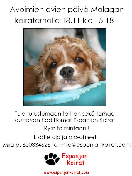 tapahtuma2